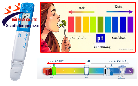 Máy đo pH và sức khỏe đời sống con người