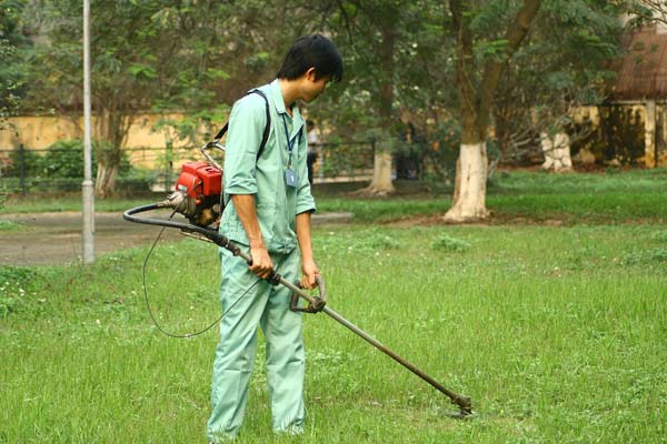 vận hành máy cắt cỏ honda