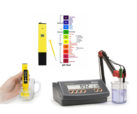 máy đo pH dễ sử dụng