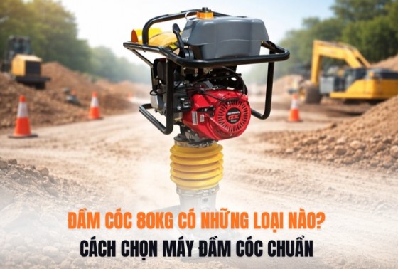 Đầm Cóc 80KG Có Những Loại Nào? Cách Chọn Máy Đầm Cóc Chuẩn