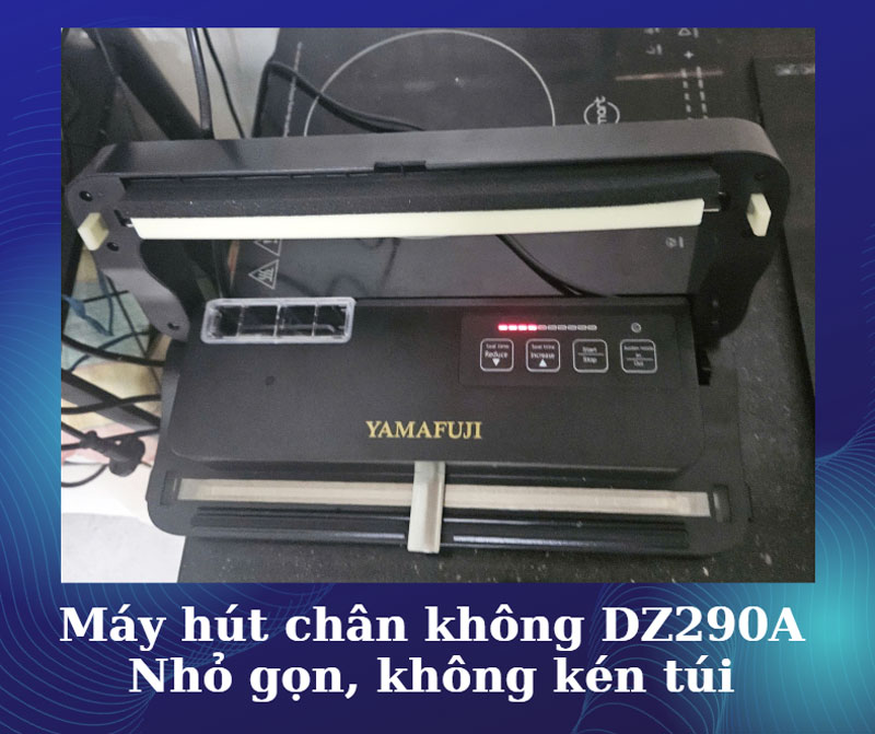 Máy hút chân không DZ290A 