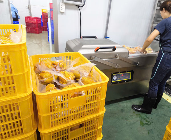 Cửa hàng máy hút chân không ở Thanh Hóa