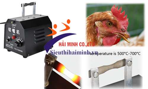 Những bước thực hiện máy cắt mỏ gà đúng cách