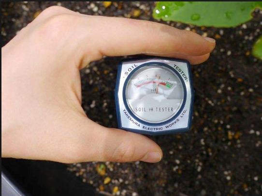 Sử dụng máy đo pH để đo độ phì nhiêu của đất