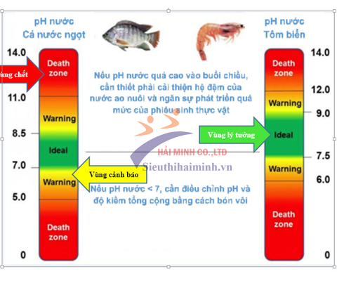 Các lưu ý cơ bản về pH trong bể cá thủy sinh