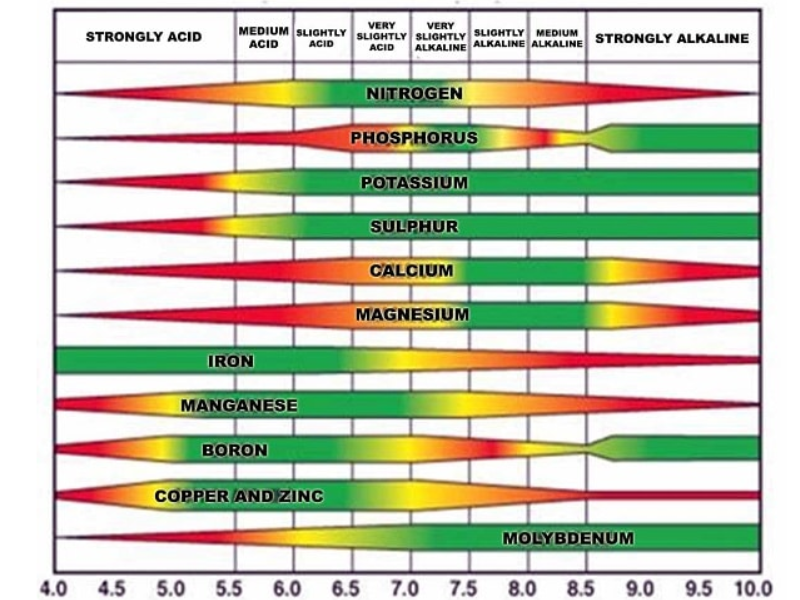 Chỉ số pH trong trồng rau thủy canh