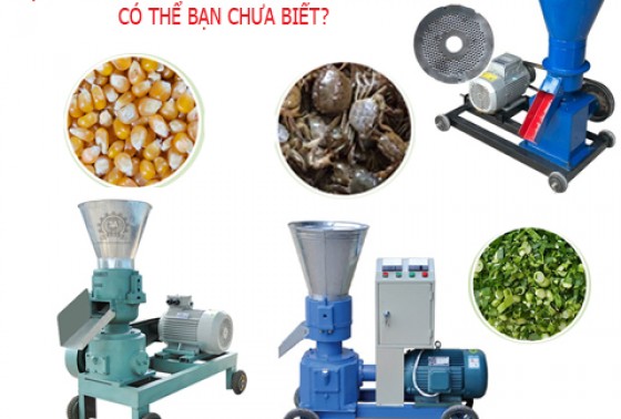 Đặc Điểm Và Tính Năng Của Máy Ép Cám Viên Có Thể Bạn Chưa Biết?