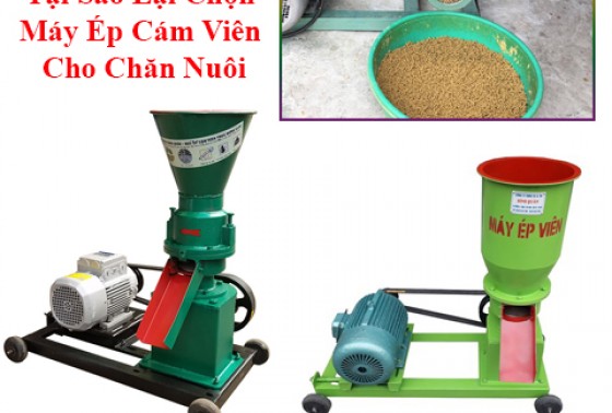 Tại Sao Lại Chọn Máy Ép Cám Viên Cho Chăn Nuôi