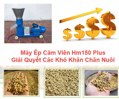 Máy Ép Cám Viên Hm150 Plus - Giải Quyết Các Khó Khăn Chăn Nuôi