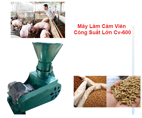 CÓ NÊN MUA MÁY LÀM CÁM VIÊN CÔNG SUẤT LỚN CV-600 HAY KHÔNG