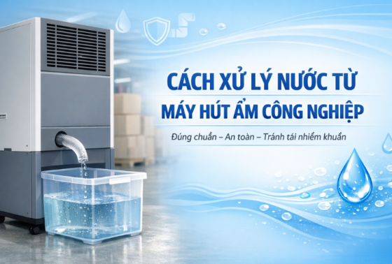 Nước Từ Máy Hút Ẩm Xử Lý Làm Sao Cho Đúng Cách?