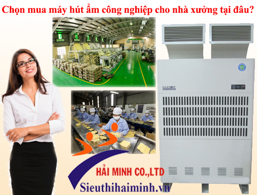 Chọn mua máy hút ẩm công nghiệp cho nhà xưởng tại đâu?