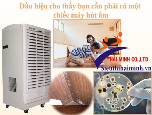 Dấu hiệu cho thấy bạn cần phải có một chiếc máy hút ẩm